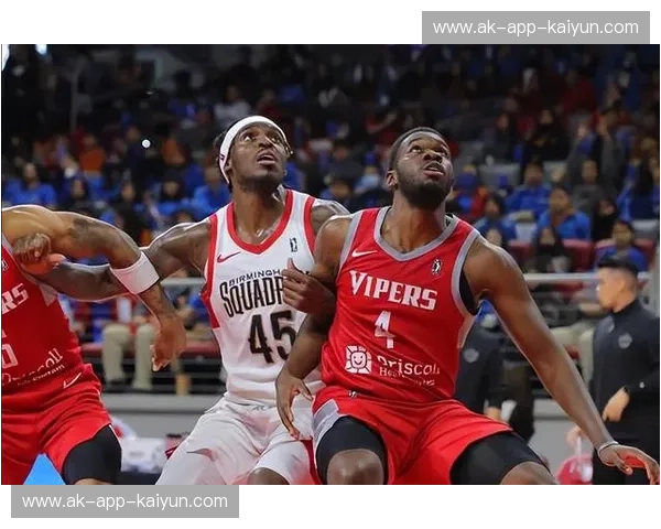 欧篮联社区:连接激情与归属的篮球世界