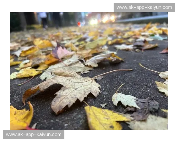 枫叶之争:多伦多与温哥华,哪座城市更让你心动?